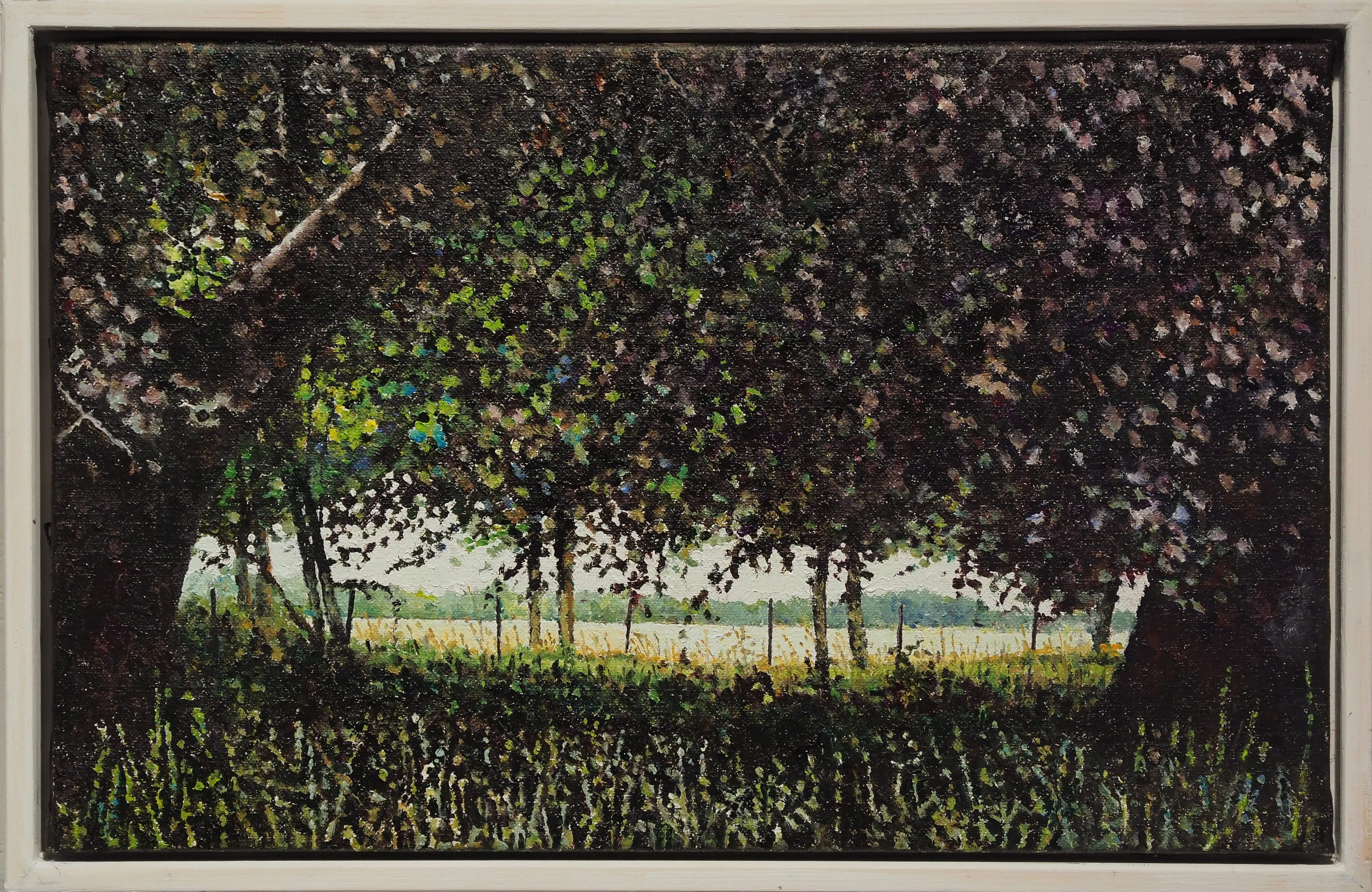 Skovlysning