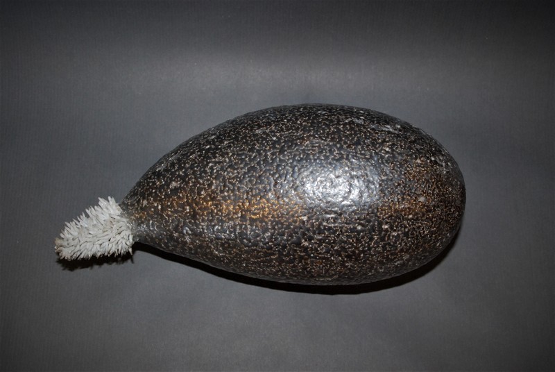 Frøsnapper stor