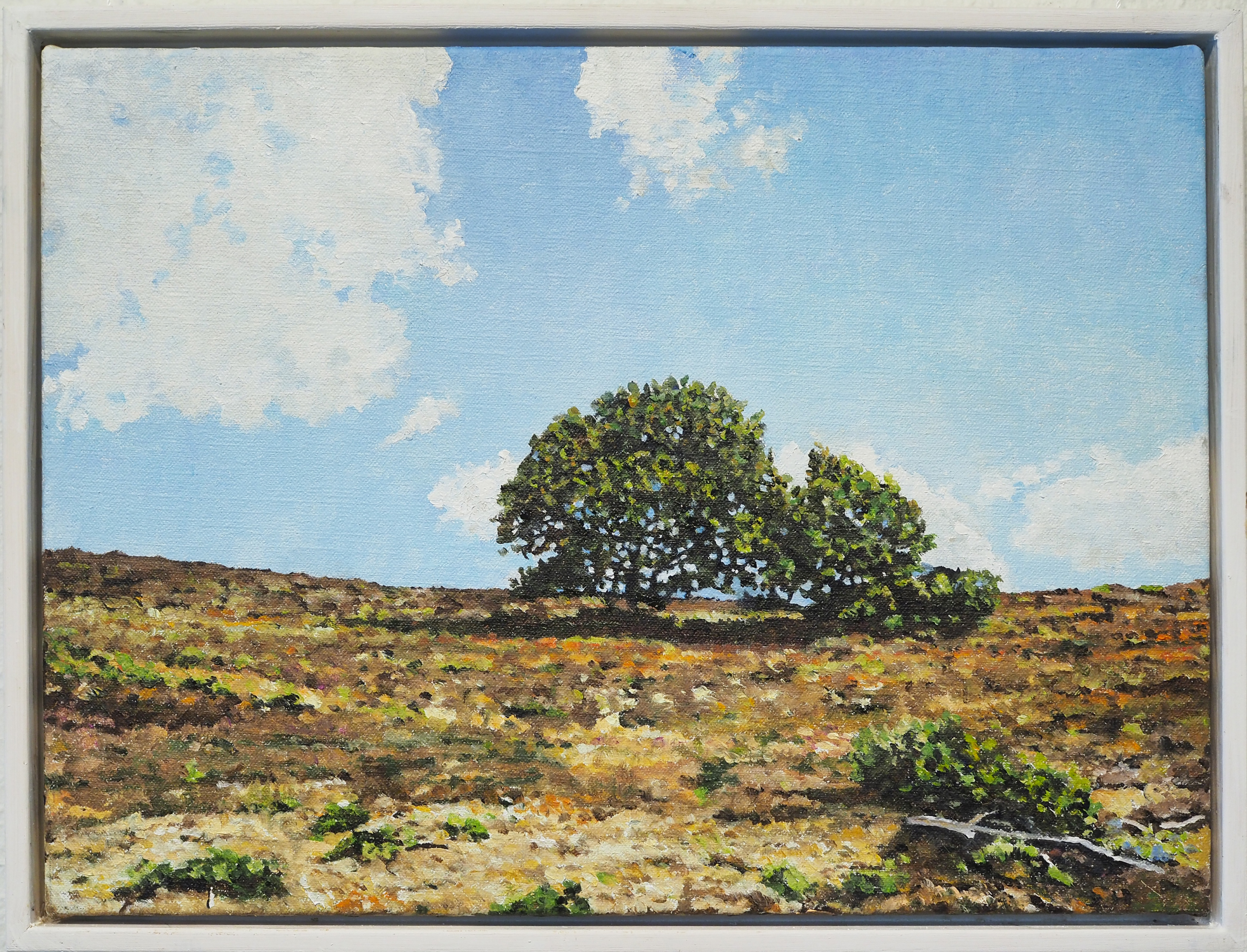 Galgebakke  