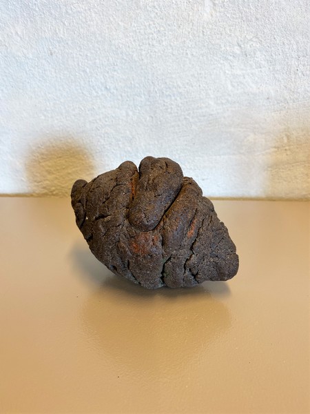 Æske