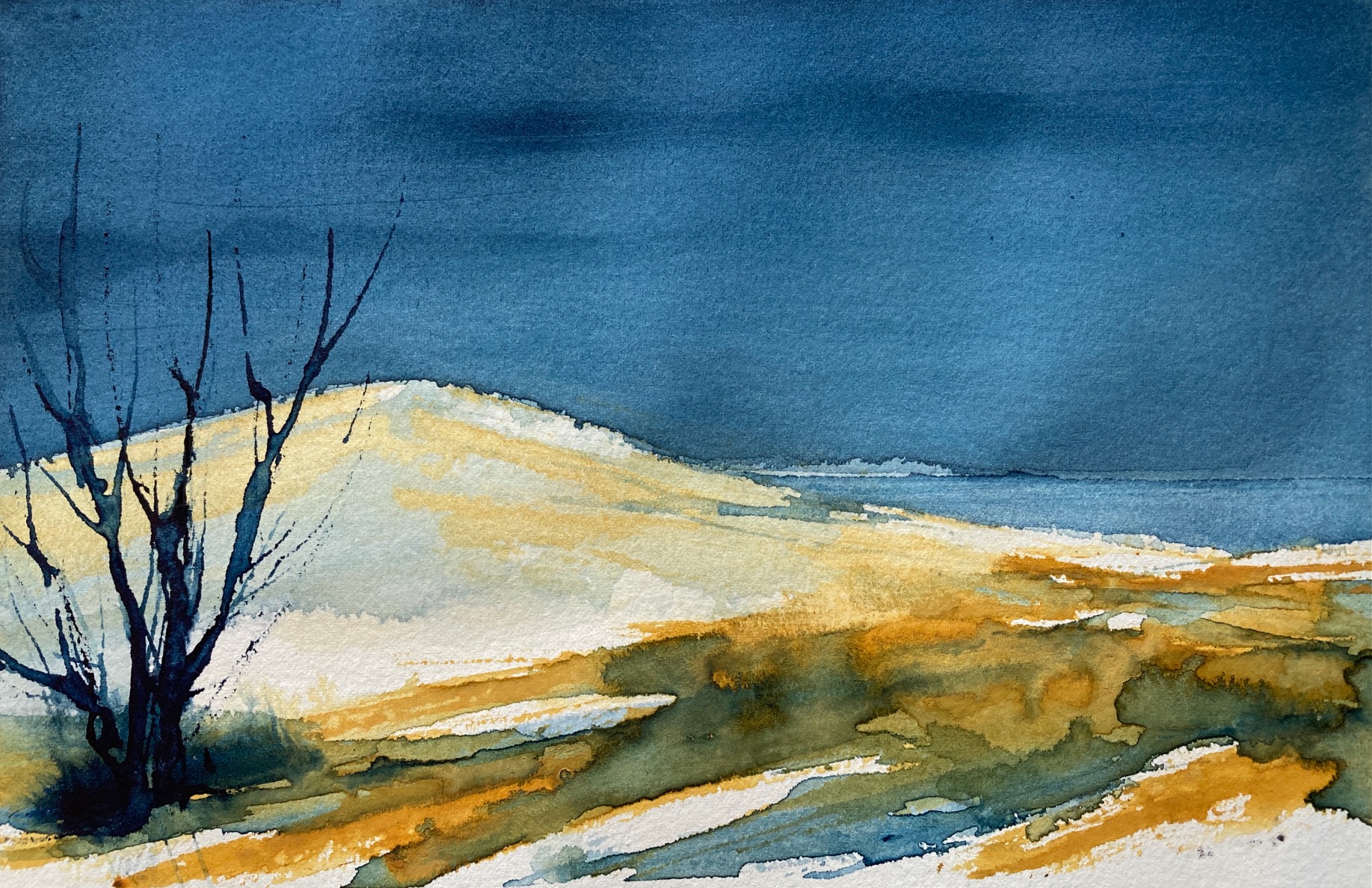 Inland Dune I