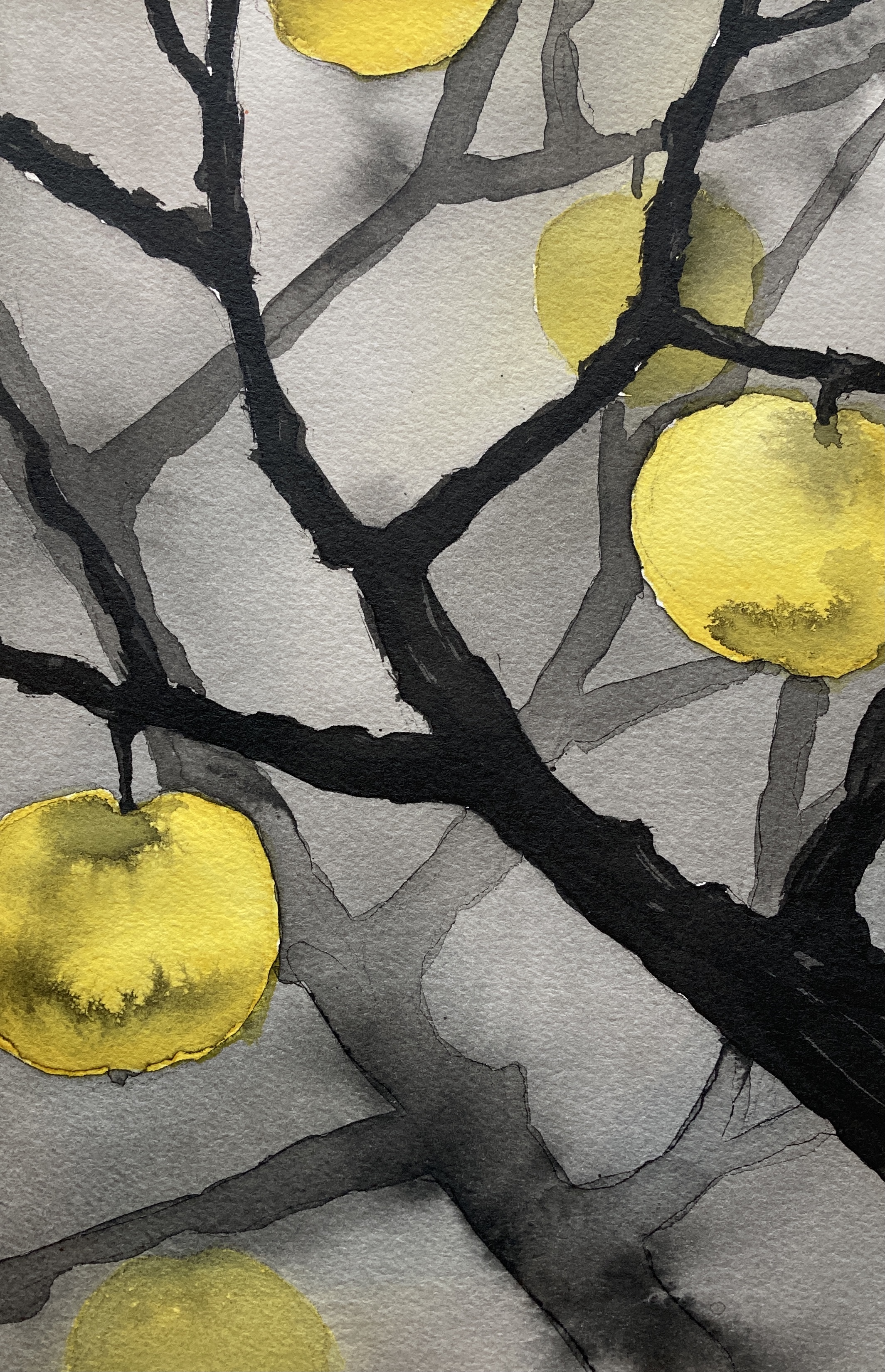 Winter Apples II